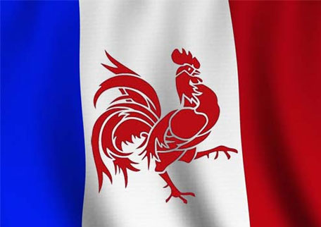 Французский флаг с изображением петуха